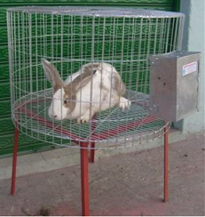 BEBEDERO PARA CONEJO