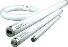 TUBO FLUORESCENTE DE 14 W a 36 W